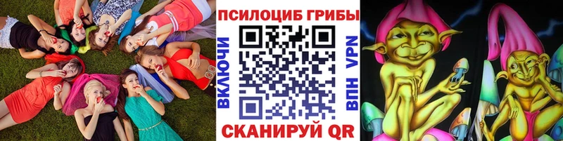где можно купить наркотик  Киренск  hydra сайт  Псилоцибиновые грибы Magic Shrooms 